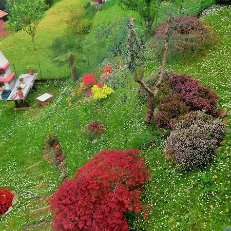 Teddy House